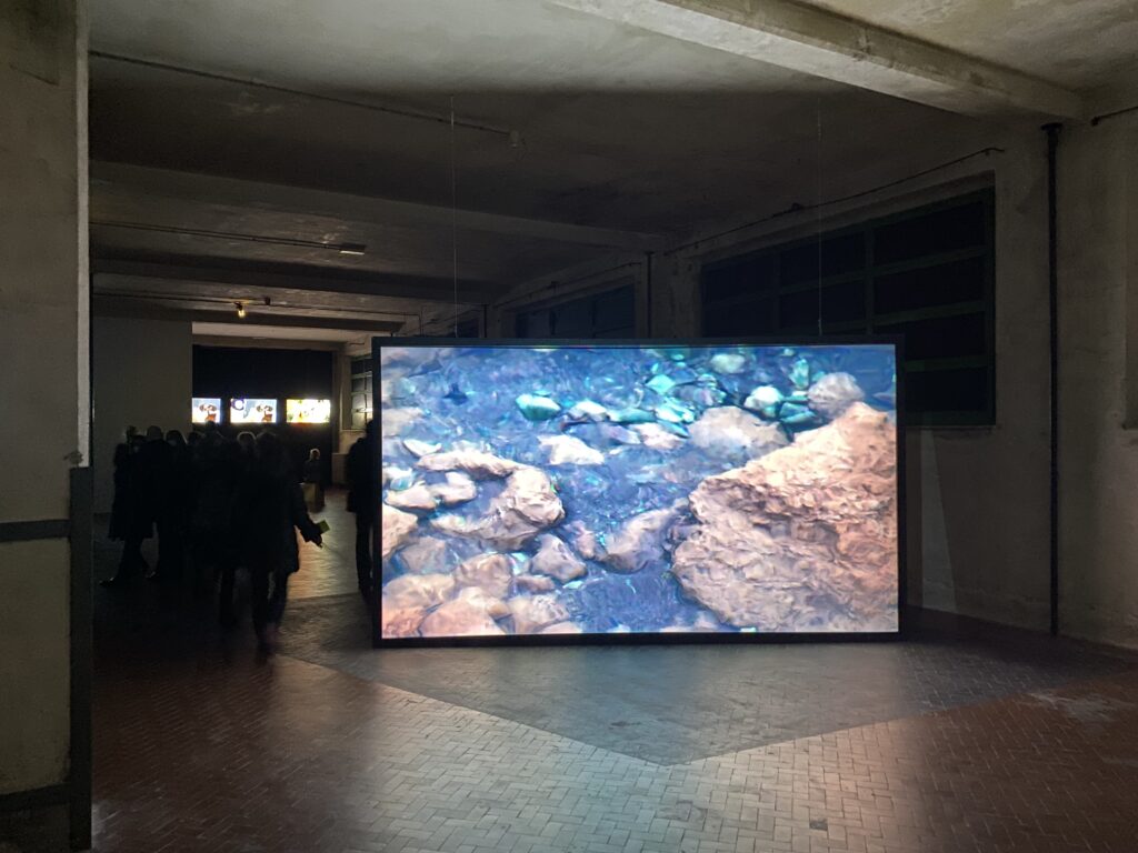 Visio Exhibition a cura di Avuelle per Lo schermo dell'arte - Manifattura Tabacchi, Firenze