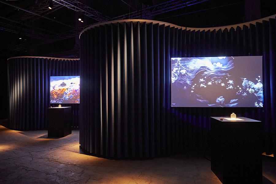 Two of four interactive points of the set up