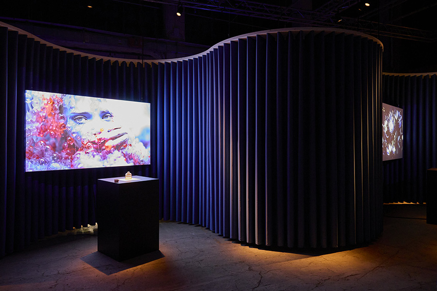 Immersive installation with videoprojections